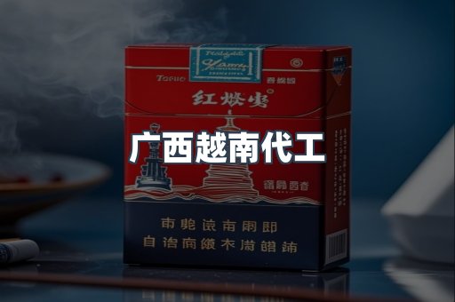 广西越南代工